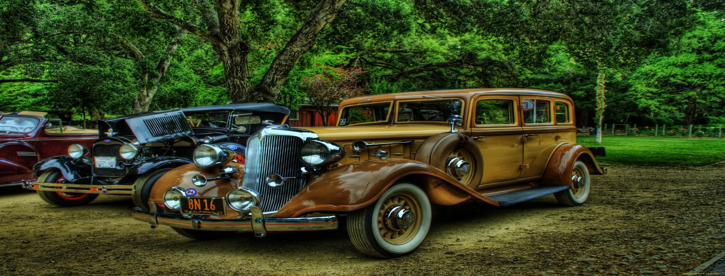 Image for Car Forest